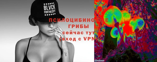 дживик Лагань