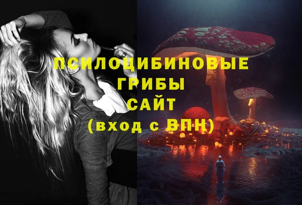 2c-b Лабытнанги