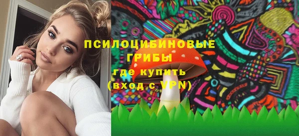 дживик Лагань