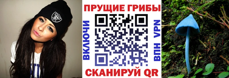 ОМГ ОМГ   Яблоновский  нарко площадка наркотические препараты  купить  цена  Галлюциногенные грибы MAGIC MUSHROOMS 